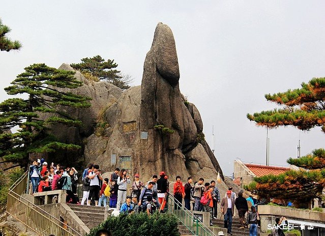 金毛萨克斯,金毛挑战全部视频