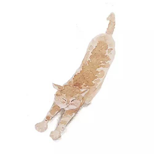 上海大型护肝保健品推荐,上海浦东新区的药品