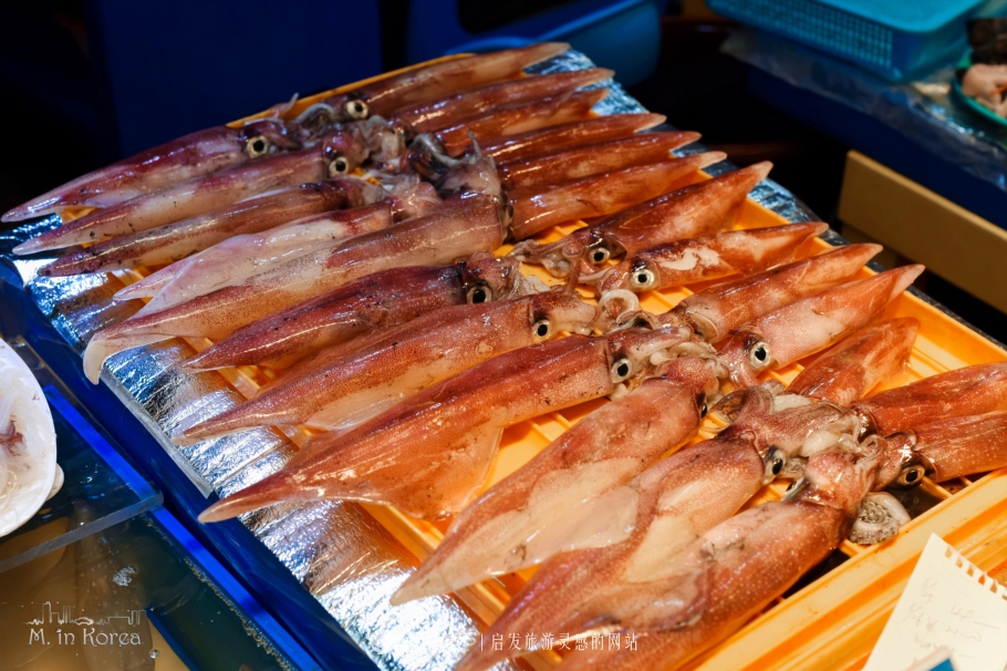 跟着RM探寻济州东门市场