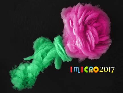 微观星球显微镜下的奇妙世界,显微镜下的奇妙世界视频