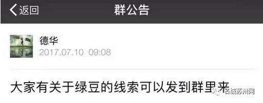 苏州吴中区寻猫启事粉色铃铛,丢猫寻猫启事苏州