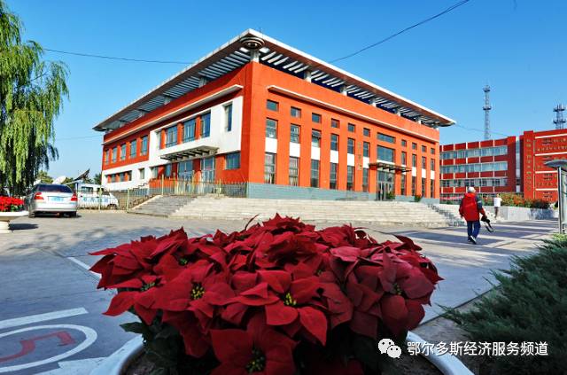 伊金霍洛旗7个儿女“才艺”大比拼~看看你支持谁