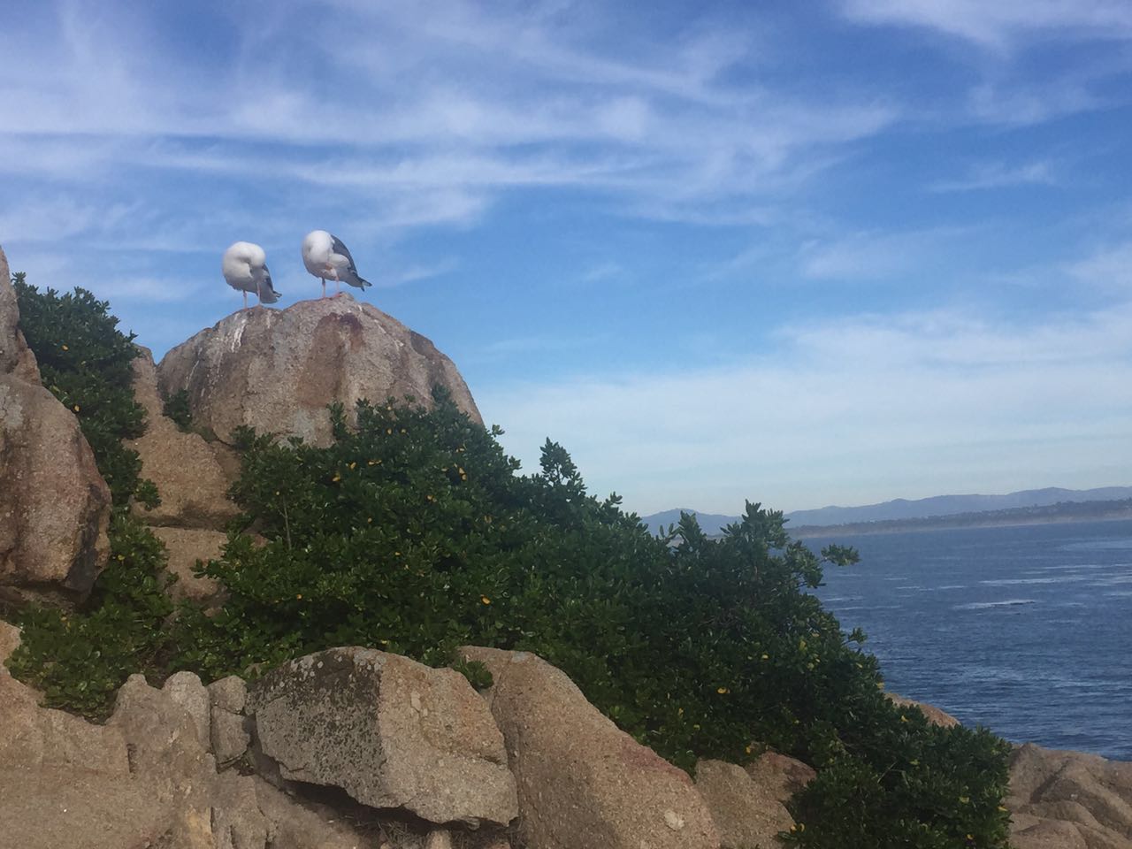 告别昔日朋友圈,告别过去的朋友圈