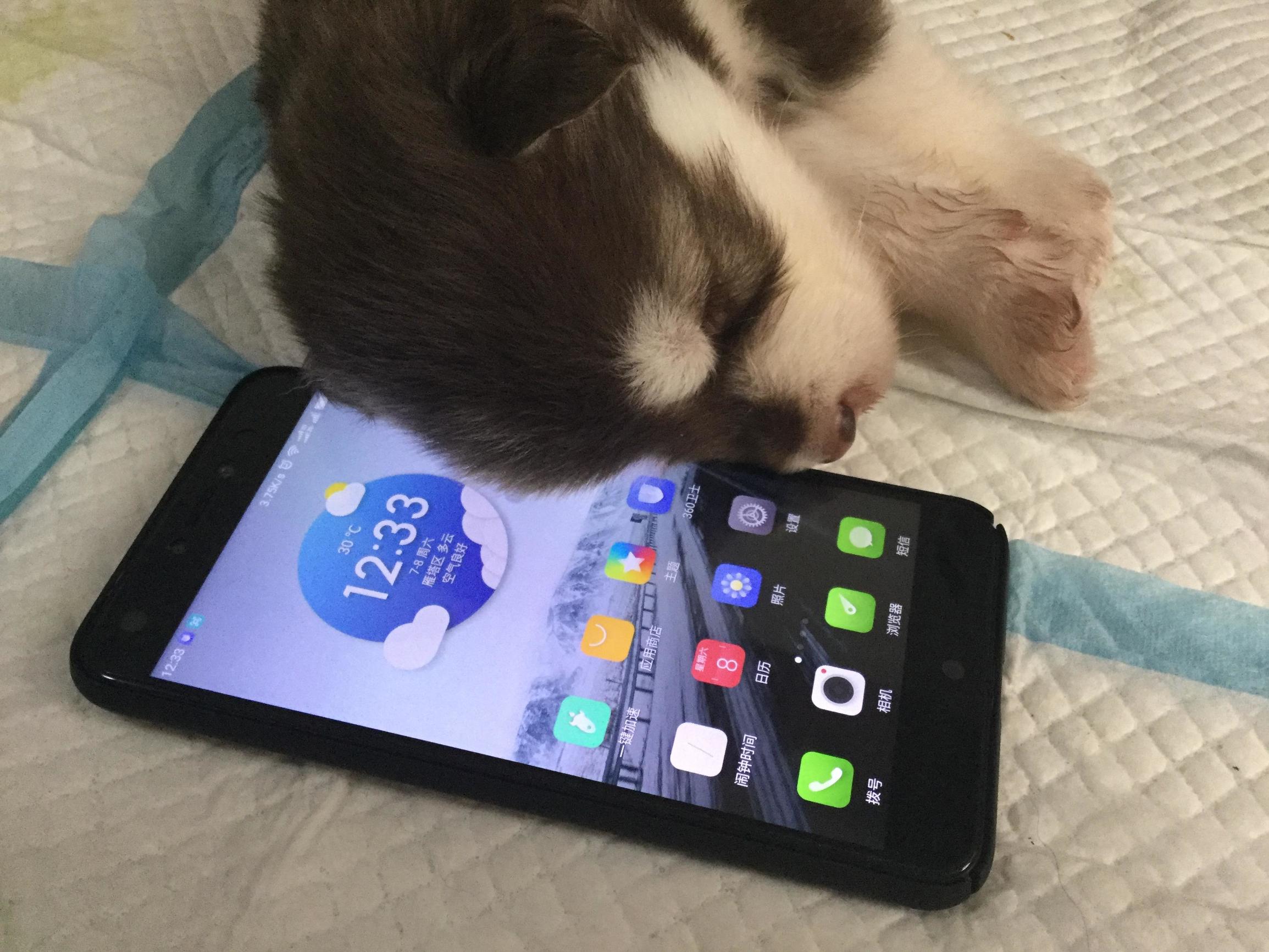 360n5s应用可以多开多少,360n5手机微信多开在哪