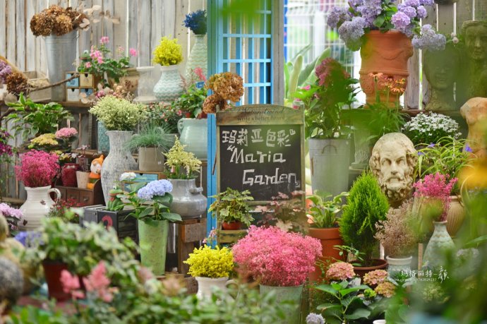 花园拜访,成都玛莉亚色彩花园电话