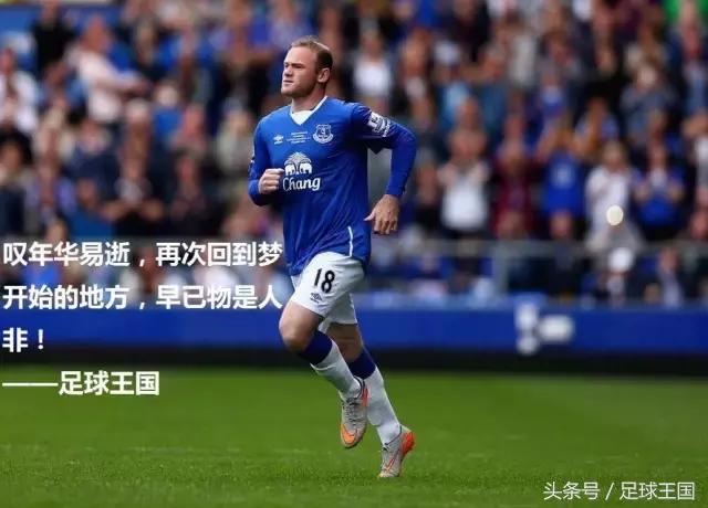 是回家亦是离家,烈士暮年尽是天涯——鲁尼