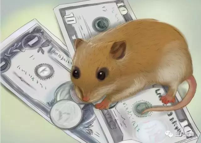 收下这份养发秘笈,收下这份避堵攻略