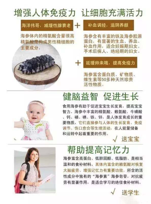 澳洲海参之秃参食补功效及注意事项