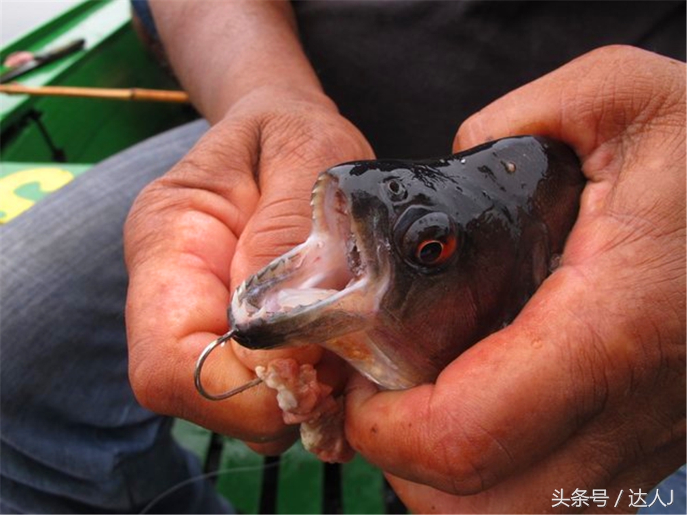 达人J：巴西的盛宴