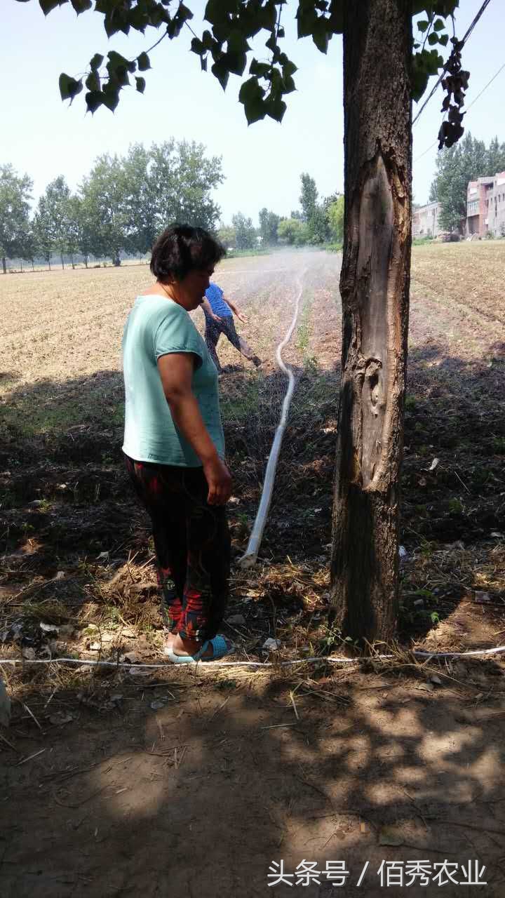 脸红!你在城里享福,父母却在农村做这种事!