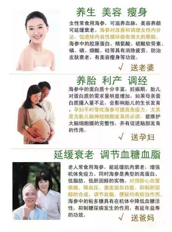 澳洲海参之秃参食补功效及注意事项