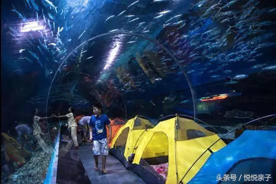 单飞露营,露营还可以做哪些活动