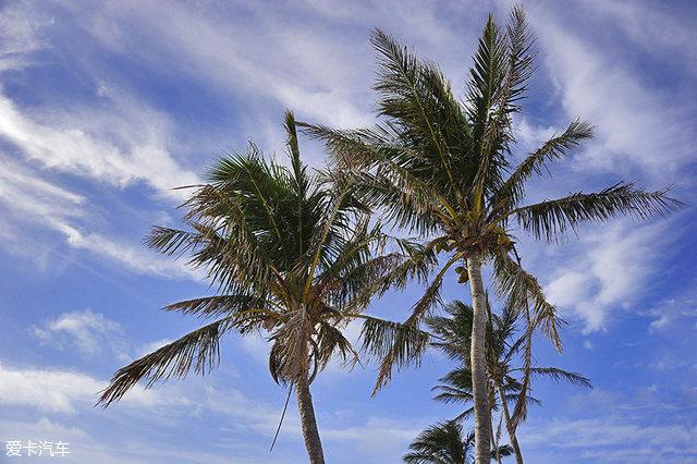 海陆皆猛虎路虎百慕大美洲帆船赛之旅