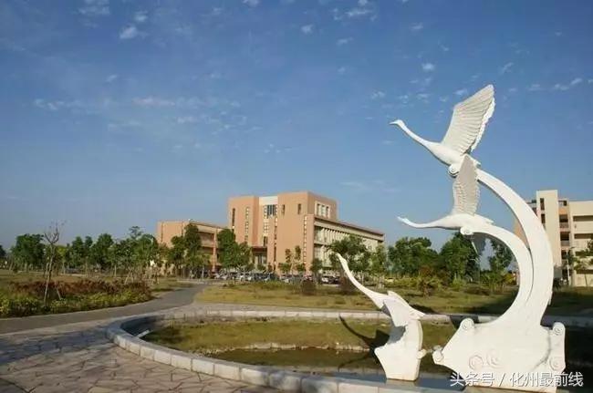 茂名高中五大名校有哪些,茂名十大好中学排行榜名单