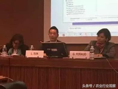 阿里巴巴联合国助力,阿里战略调整农村电商