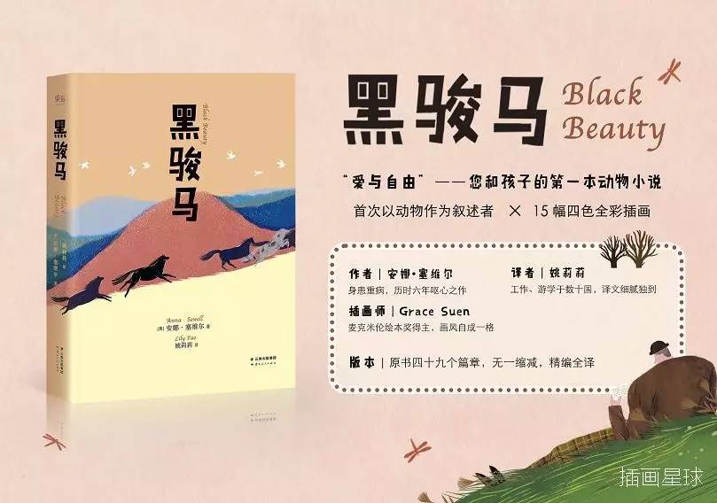 一个一心想做农场主、爱插画会装置的菇凉｜本土插画师GraceSuen