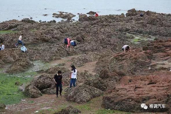 青岛毕业旅行三日游,毕业旅游自由行攻略