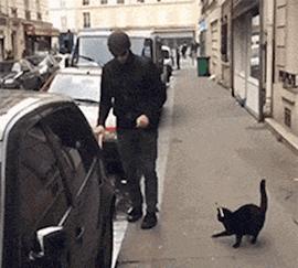 隔壁的wife超好,用起来真爽!