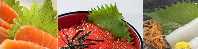 厦门吃海鲜拉肚子怎么办？一个海鲜主厨说出4个妙招！