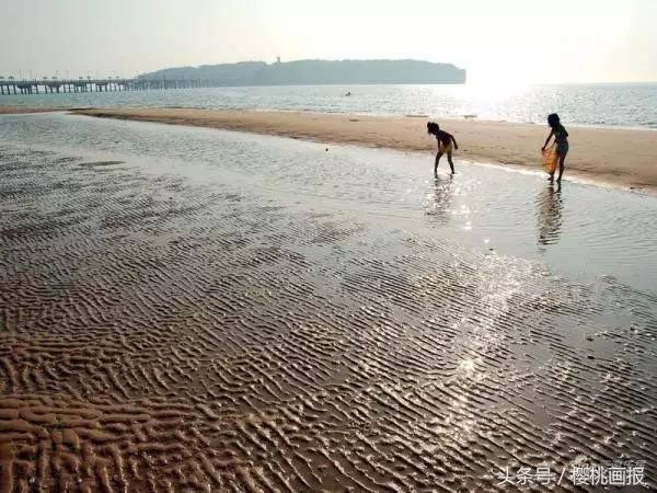 夏天大连去哪个海边可以玩水,大连玩水旅游攻略