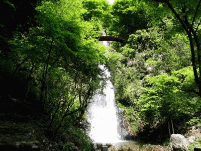 热热热~终南山下，这些仙气十足的秦岭峪口解救被高温包围的你！