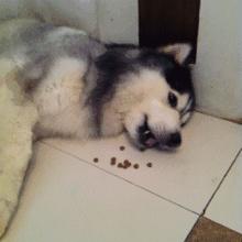 听说你不开心,听说你不开心沙雕片段