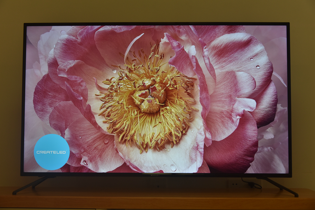 全家人的客厅娱乐神器，微鲸新品55D的表现如何？