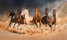 17年妖股,2017-2020的妖股