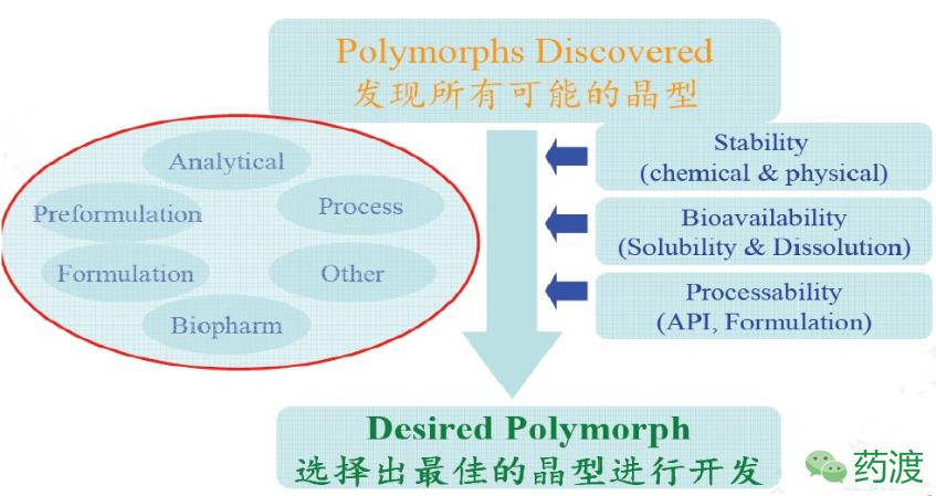 药物开发,药物开发过程中的主要研究思路