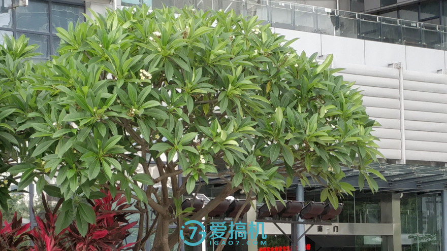 精湛做工+最强骁龙835努比亚Z17详细评测