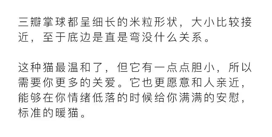 猫爪肉球形状判断猫咪性格,猫咪肉球颜色决定猫咪性格