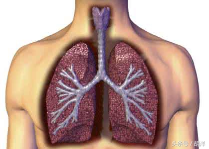 有一种真菌，专门在肺部原有疾病产生的空洞里长小球，消不掉，咳不出，有时候会引起致命大出血