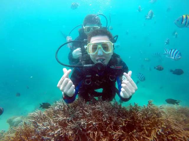 三亚潜水避坑攻略,三亚潜水新技巧