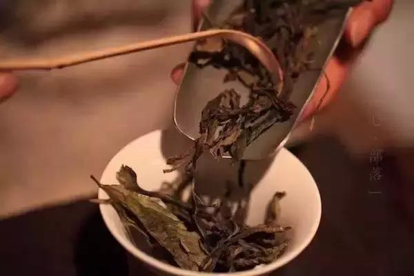 冰岛普洱茶言过其实,冰岛十大怪事件