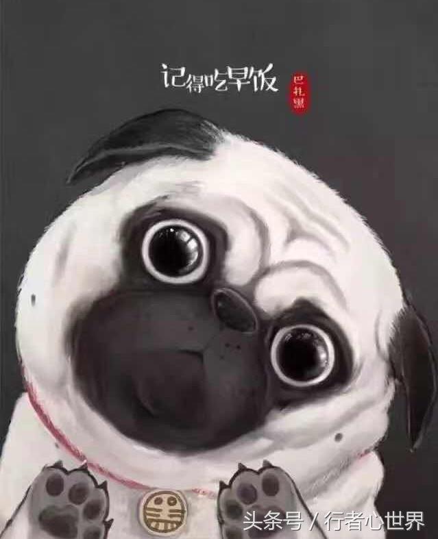 你牛什么牛是哪个小品的,你牛什么牛笑话