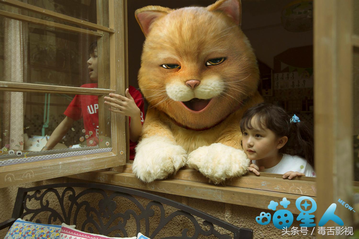 五句话夸猫咪可爱作文,关于喵星人的好听句子简短