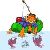 如何在法国学习,怎么样才能在法国工作