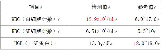 一例犬胸壁透创并发气胸诊治报告