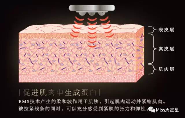 听说化妆可以变美,目前最好用的美容仪