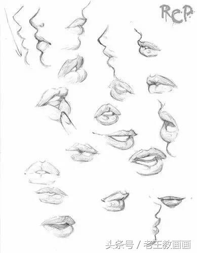 教100个零基础画画小白,零基础自学绘画入门书