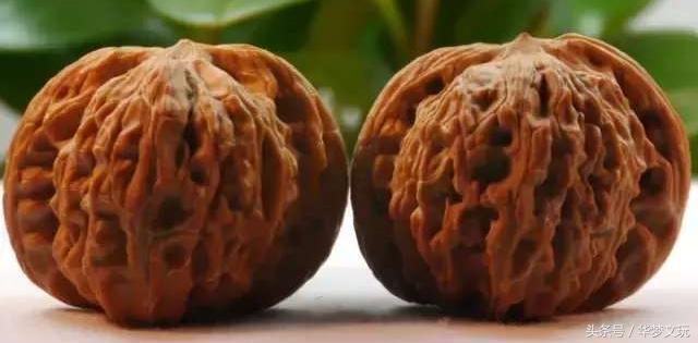 文玩核桃磨盘狮子头南疆石,文玩核桃磨盘狮子头品种大全