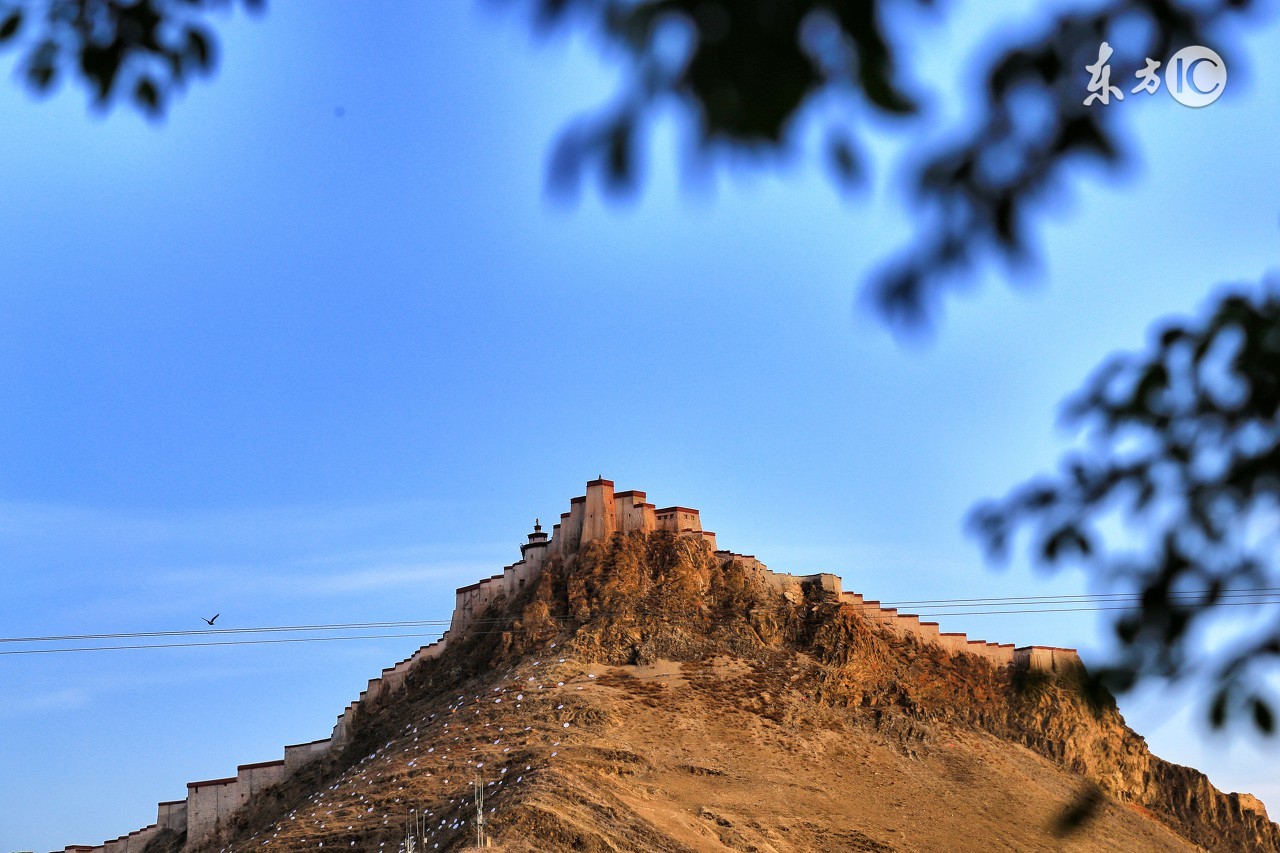 为什么草根创业做电商难,草根互联网创业经验是什么