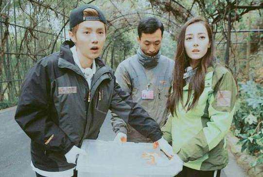 鹿晗和热巴私下关系是哪样的,李晨说漏鹿晗和热巴