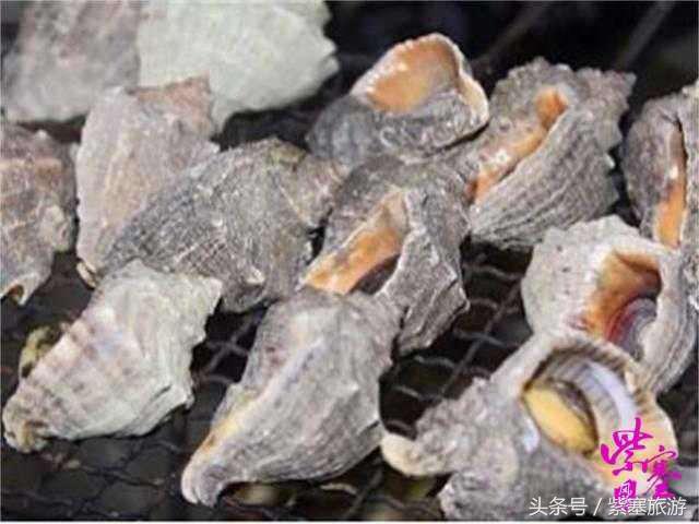 秦皇岛旅游住宿农家院,秦皇岛2日游攻略农家院