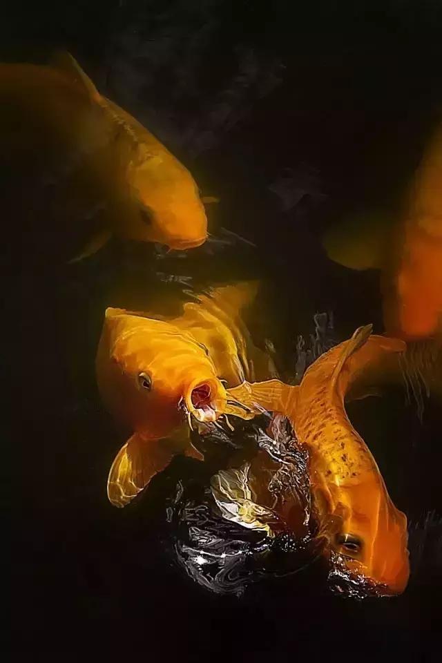 周宁旅游攻略一日游,周宁避暑旅游攻略