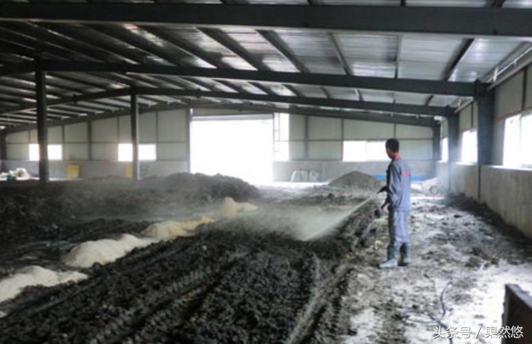 猪粪的环保处理技术,猪粪怎么处理不污染