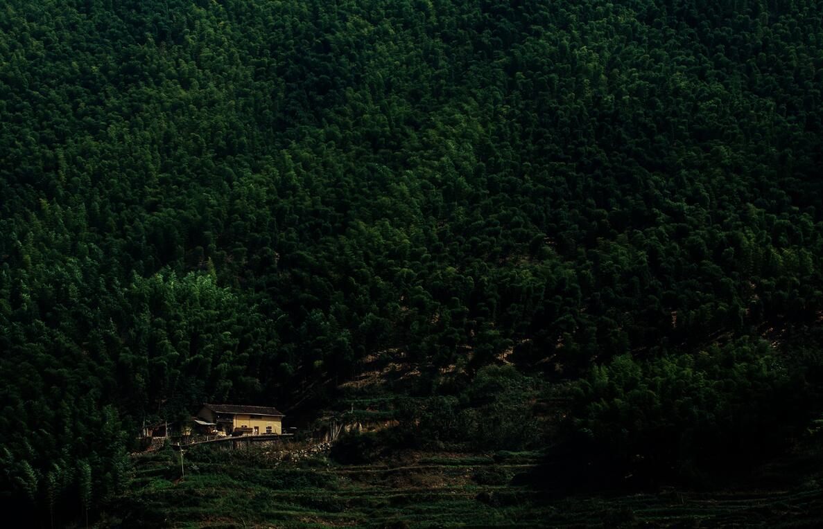 深山中迷路应该打哪个电话,深山老林无信号迷路怎么办