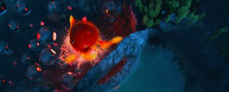 在加拿大3年真实感受,来加拿大生活