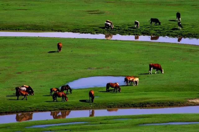 京津冀，听说你们缺一份避暑攻略？驿雲小编已给你们备好！