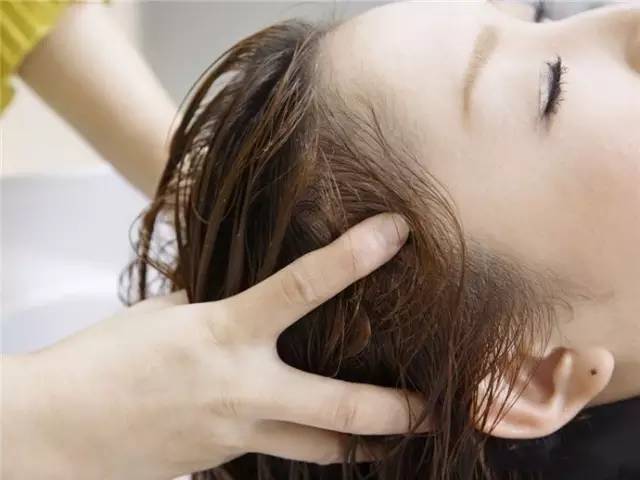 用艾叶煮水后，万万没想到……惊呆了！